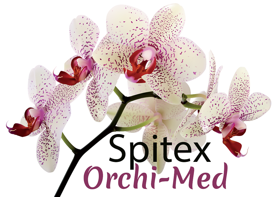 Spitex Orchi-Med GmbH